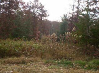0 Annie Sophia Ln, Roaring River, NC 28669