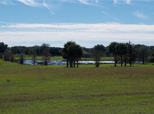 10633 Broadland Pass, Thonotosassa, FL 33592