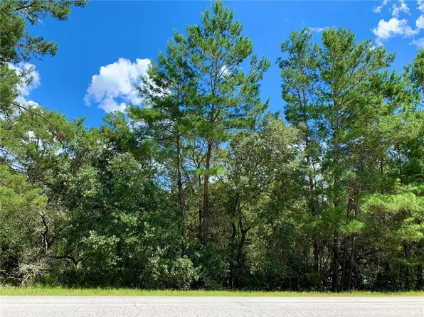 LOT 5 Aspen St Lot 5, Eustis, FL 32736