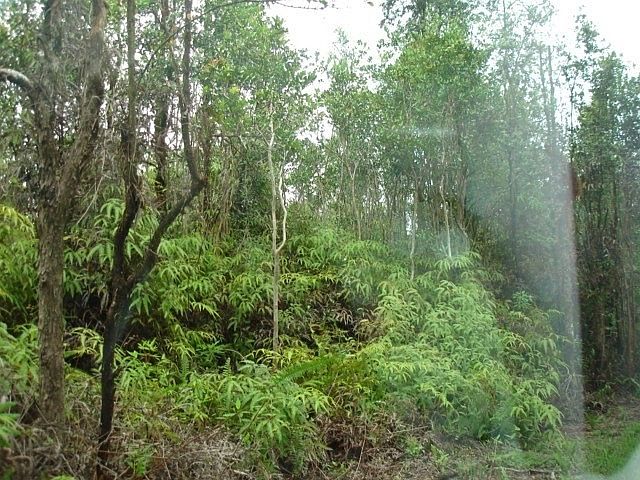 2nd image of Road 3 Hopue Lot 3037