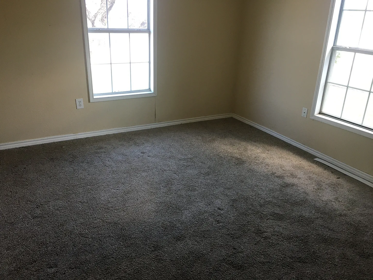 2 bed, 732 sqft, $1,500 — Photo 3