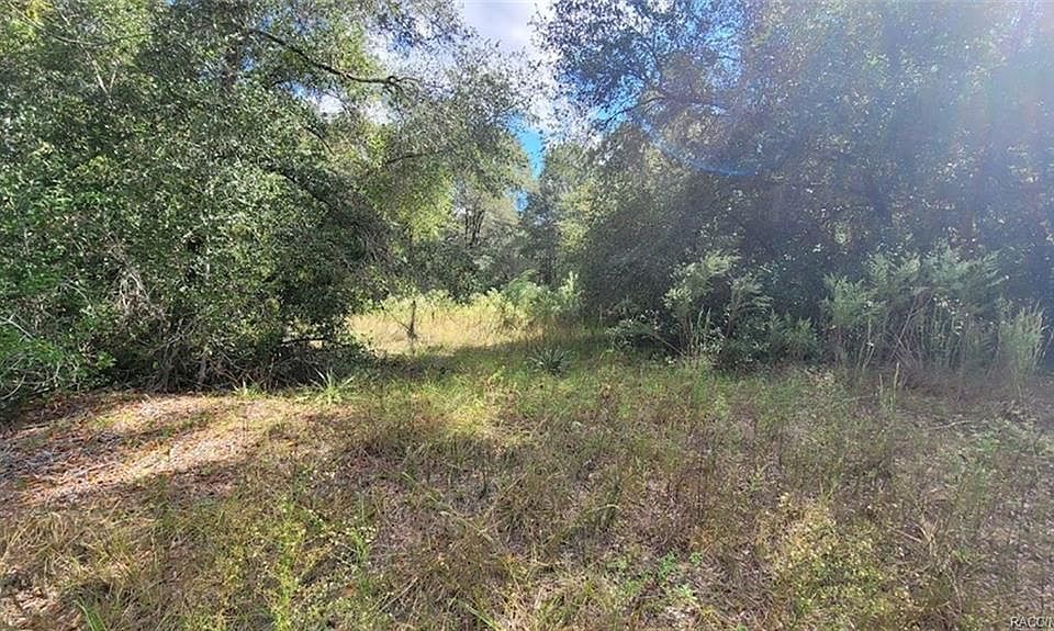 2nd image of 2071 W Magenta Dr