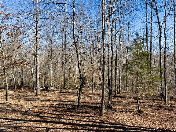 4th image of 0 Wildcat Rd