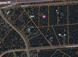 22 Acr 3157, Vernon, AZ 85940