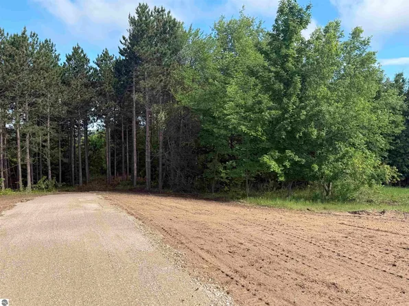 PARCEL Five Karnes Rd, Glen Arbor, MI 49636
