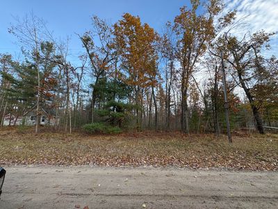 LOT 60 Francis Ave, Hillman, MI, 49746