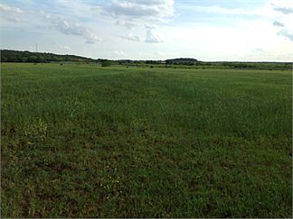 5th image of 1200 County Road 478