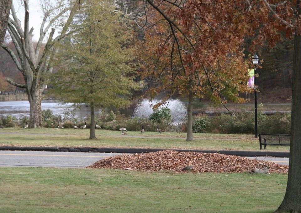 2nd image of 707 Lees Ln