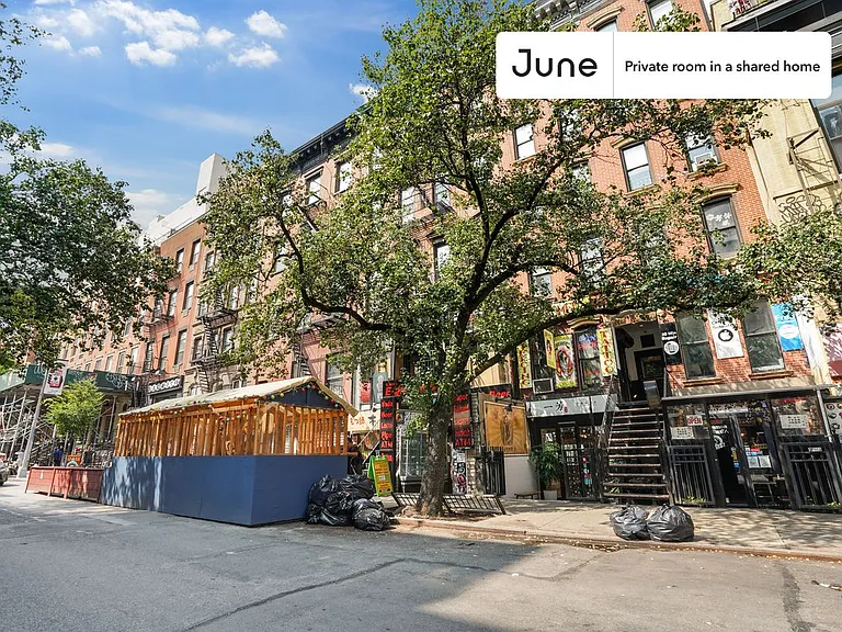 31 Saint Marks Pl #B — Photo 13