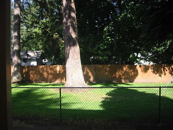 Green Space Behind Property