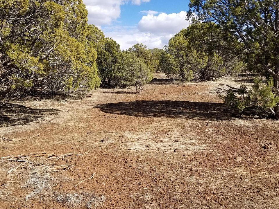 1st image of 1823 Woodside Trl