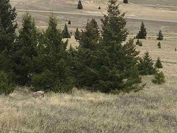 2nd image of 500 Wildhorse Mdws