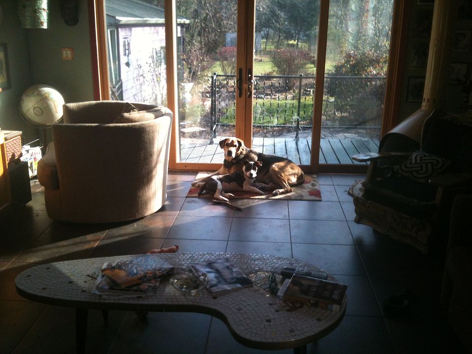 family room
