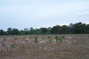 2nd image of 4016 Highway 273