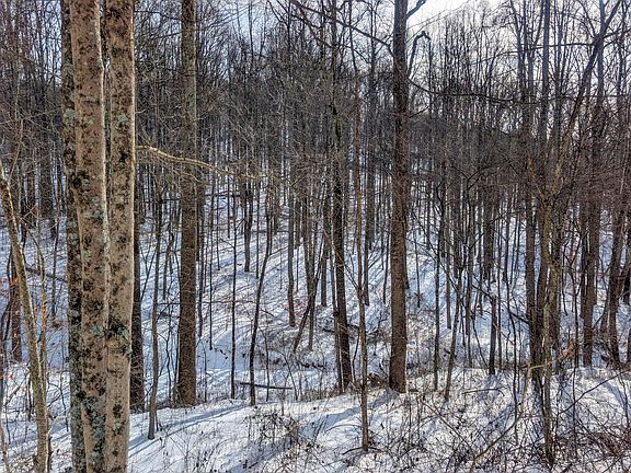 3rd image of 0 Miltonsburg Calais Rd Tract 11