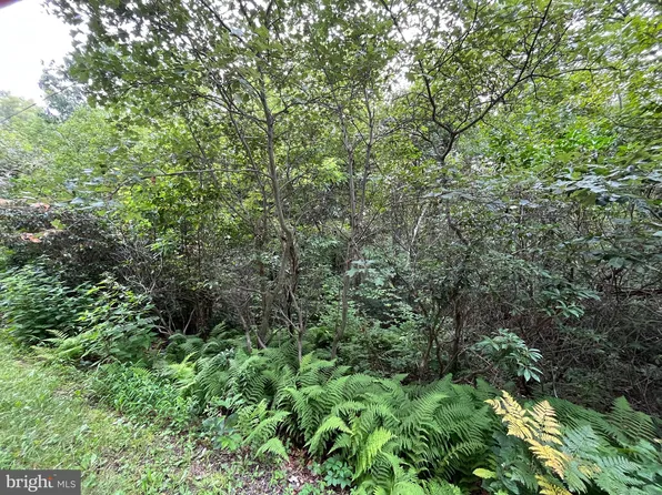 143 Fox Ln, Jim Thorpe, PA 18229