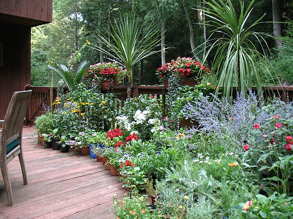 Container Garden on Deck