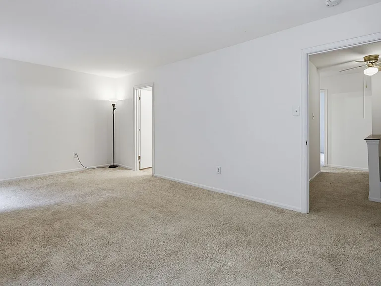 11543 Shell Flower Ln — Photo 15