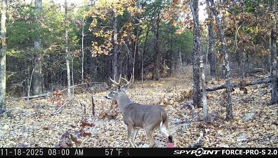 1st image of 0 Buck Ridge Ln