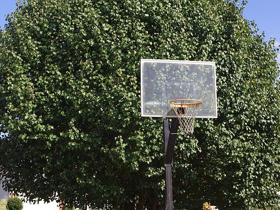 basket ball goal
