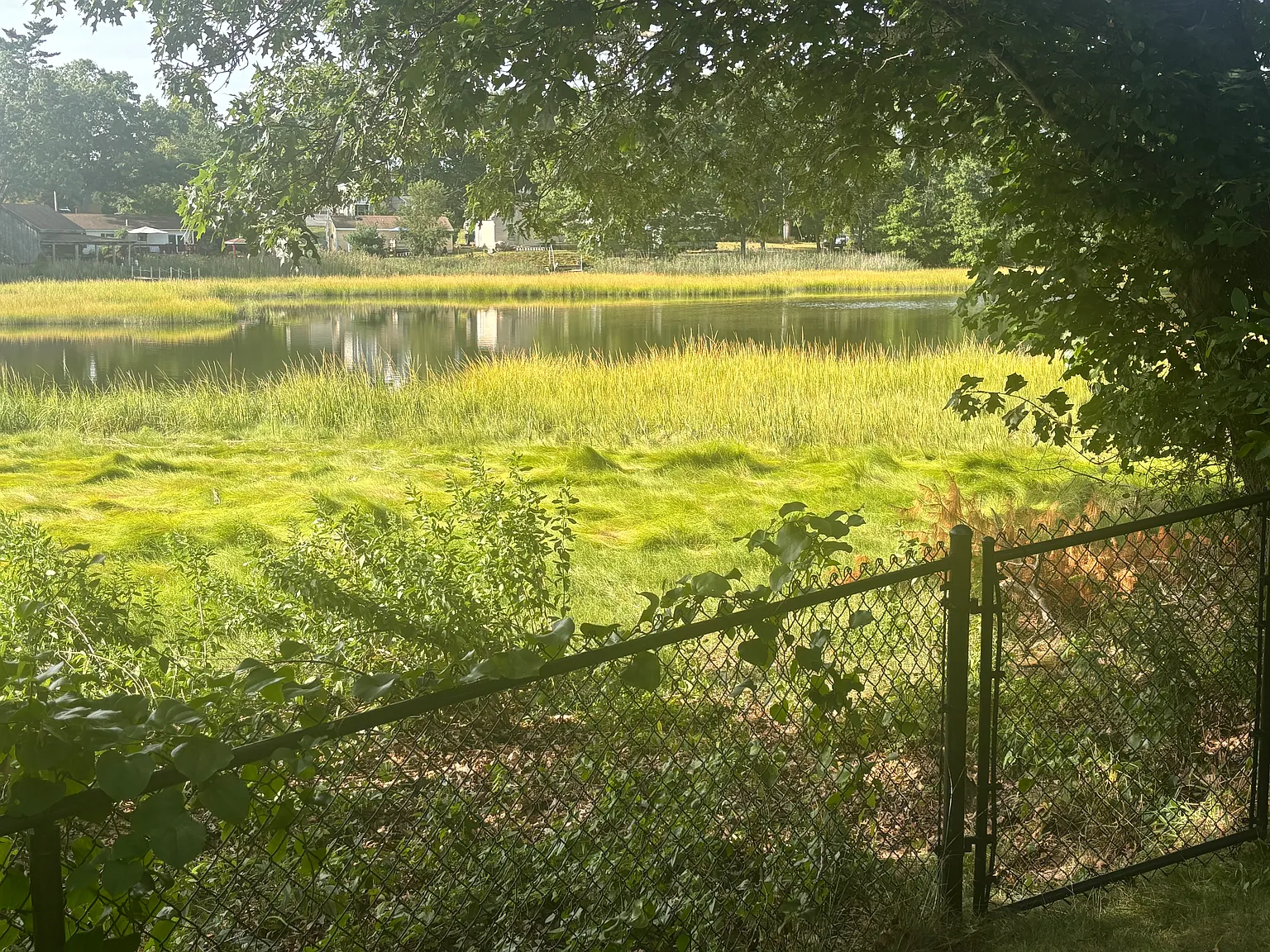 Lark Ln, Assonet — Photo 3