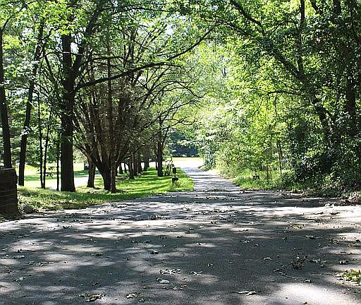 Driveway view