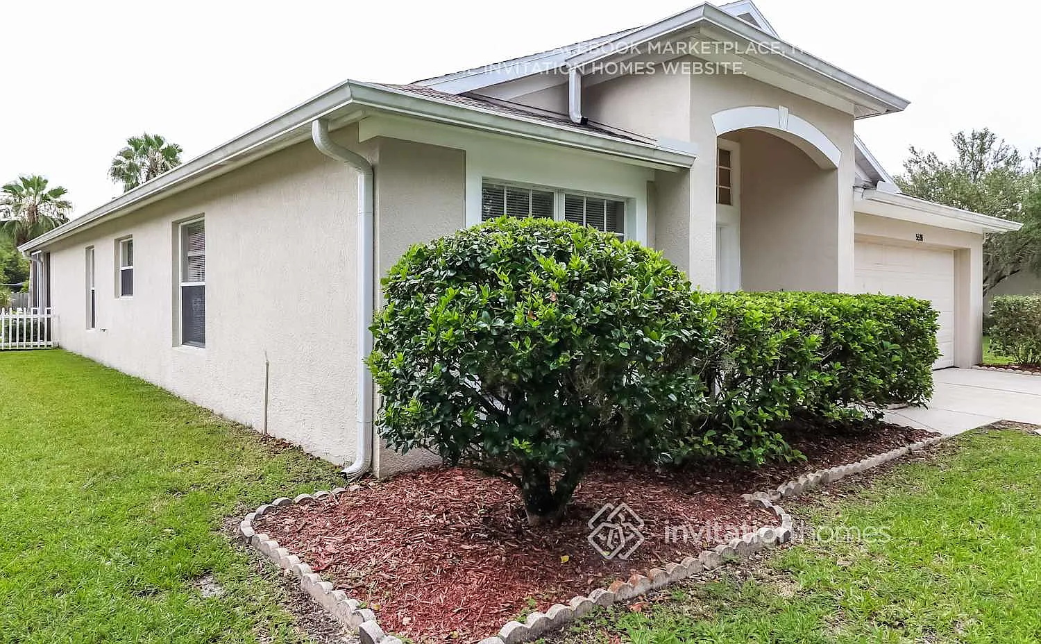 5638 War Admiral Dr Wesley Chapel, FL 33544 — Photo 2