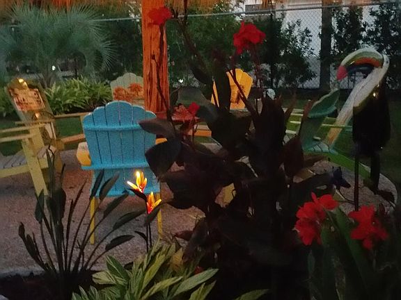 New Palapa