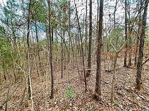 1st image of 414 County Road 3416