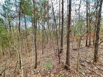 414 County Road 3416, Cleveland, TX, 77327