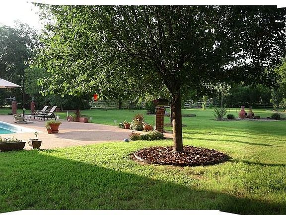 Fenced Manicured Back Yard
