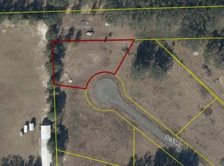 0 101st Point LOT 58, Live Oak, FL 32060