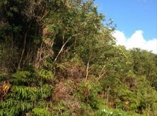 Kini Rd LOT 267, Mountain View, HI 96771