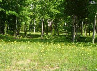 400 Lash Ln, Chapin, SC 29036