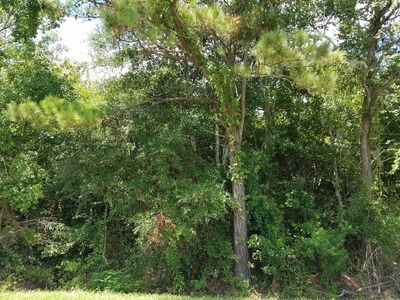 4335 Acl Blvd, Savannah, GA, 31405