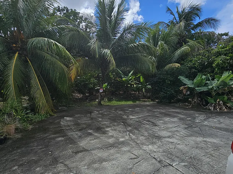 124 Sunset Rd — Photo 29