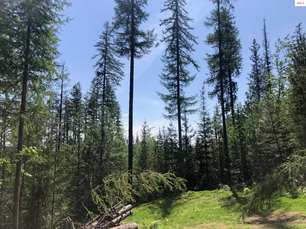 Nna Scott Ln, Sandpoint, ID 83864