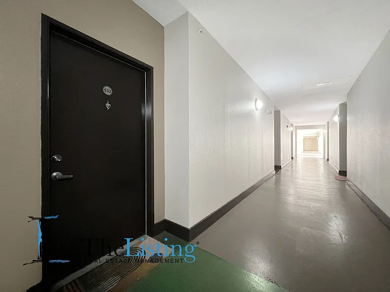 2411 W Horatio St #532 — Photo 19