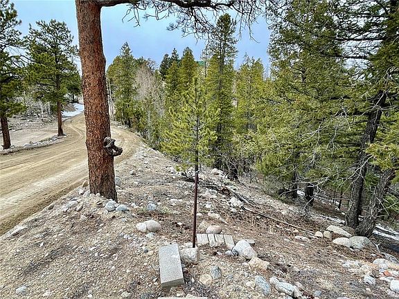 5th image of 66 Parry Peak Dr