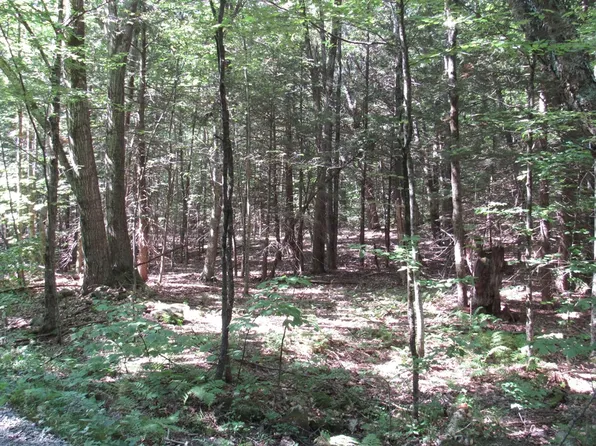 6-006 Round Hill Rd, Chester, MA 01011