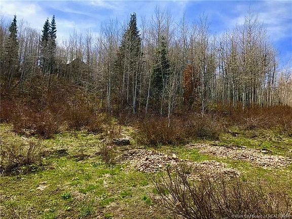 4th image of 2491 S Bull Moose Dr