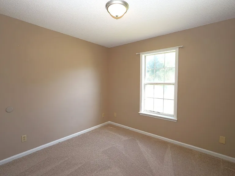203 Blue Pool Dr — Photo 12