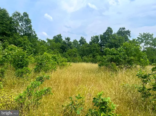 Goldsborough Rd, Springfield, WV 26763