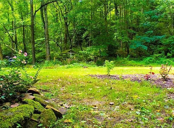 4th image of 296 Summer Rain Dr