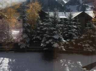 942 Vine St, Aspen, CO 81611