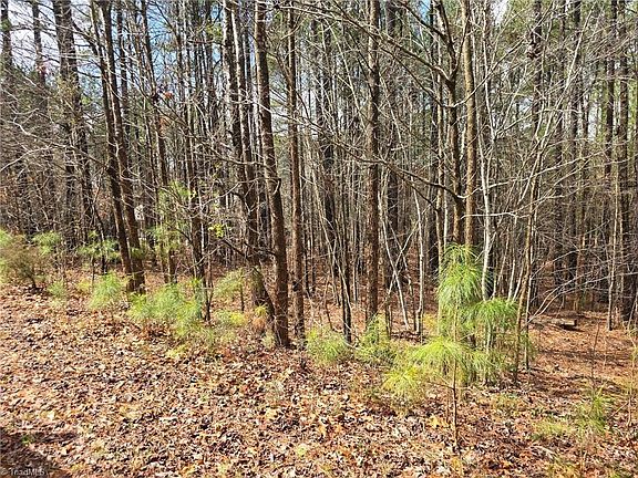 5th image of 225 Cove Wood Dr
