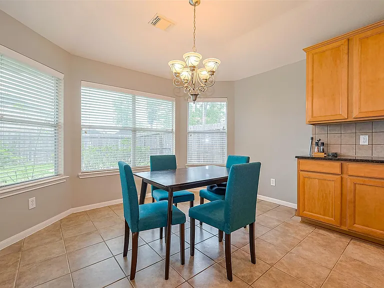 1007 Casting Springs Way — Photo 6