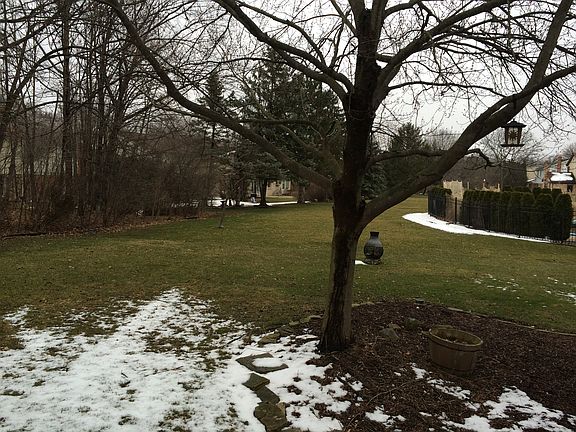 Backyard from Family Room