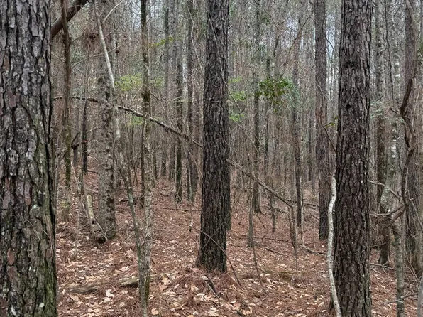 0 Highway 15, Ackerman, MS 39735