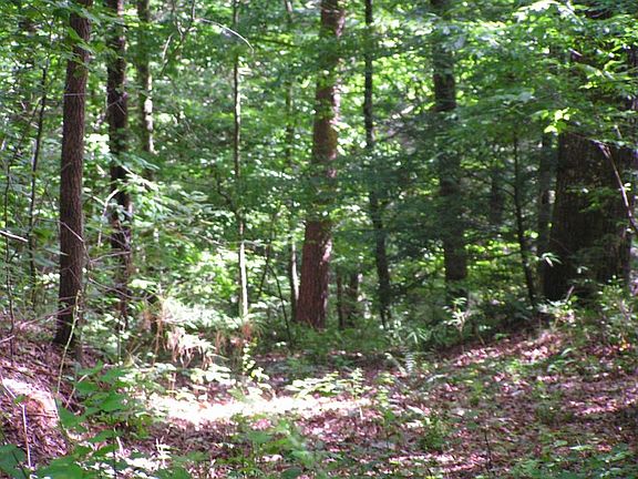 4th image of 52-53 Wildwood Parkway